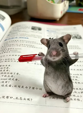 笔架仿真老鼠干挂件诙谐搞笑恶搞毛绒玩偶有骨架凹造型送朋友搞怪