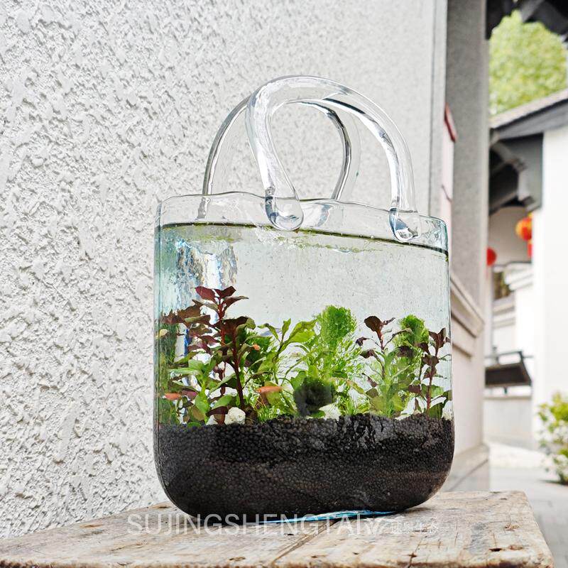手提包包鱼虾水草生态瓶微景观创意缸生日情侣礼物DIY作业免换水