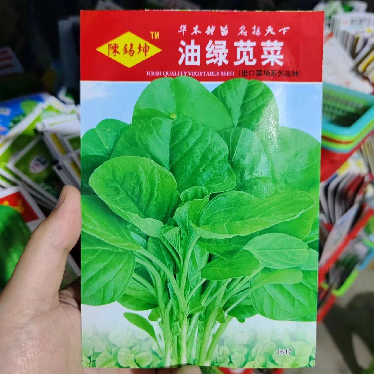 油绿苋菜种子圆叶白苋菜籽春秋四季播野生保健菜阳台盆栽蔬菜种孑 - 实物图