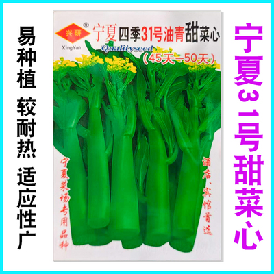 宁夏甜菜心种子广东油青甜脆菜心子四季农家菜园阳台盆栽蔬菜种孑