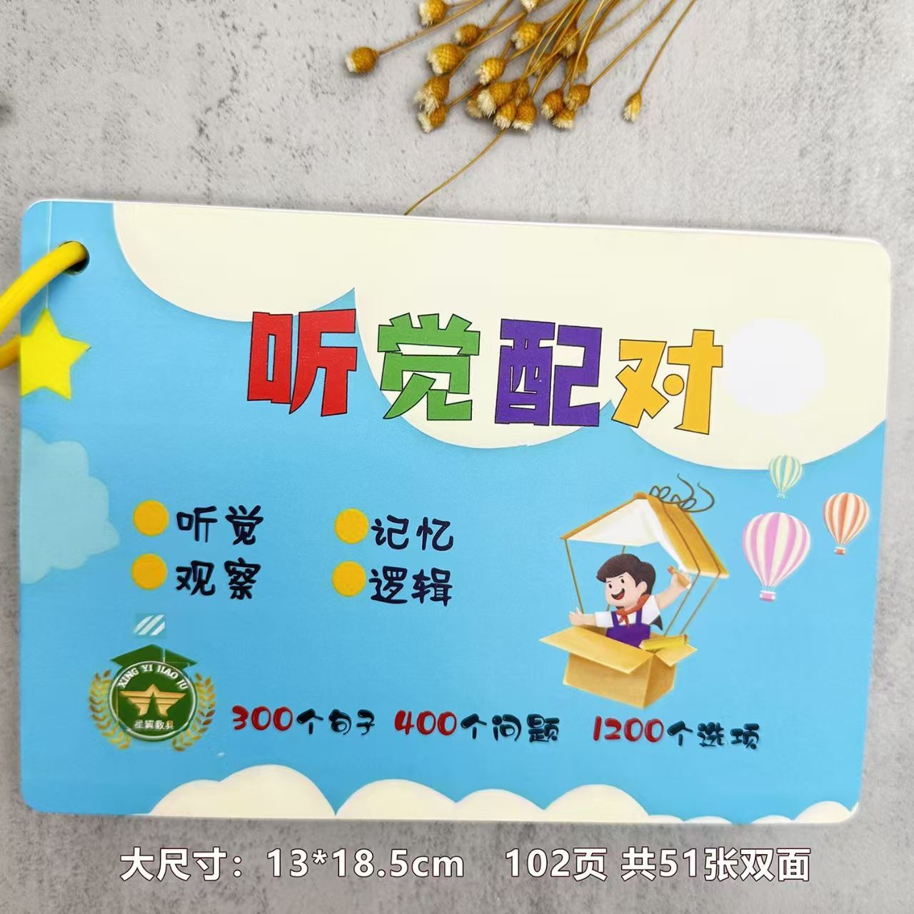 听觉配对图册 发育迟缓自闭症儿童听觉训练教师家长使用教具