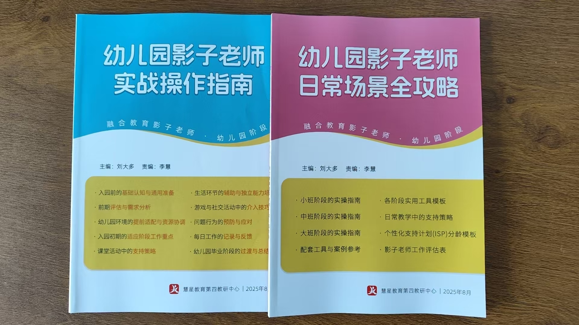 幼儿园影子老师实战操作指南+日常场景全攻略两本打包出
