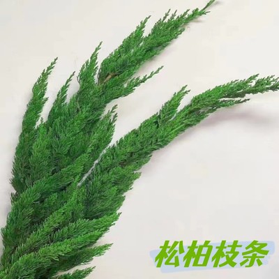 圣诞树枝条节假日装饰