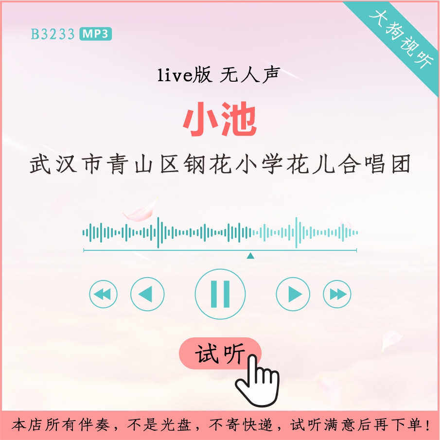 b3233武汉市青山区钢花小学花儿合唱团小池 经典咏流传伴奏无人声