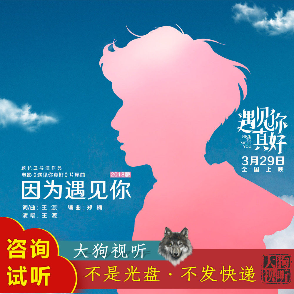 王源 因为遇见你2018版 伴奏 高品质 带和声