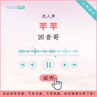 高品质 B2929回音哥 伴奏 原版 无人声 芊芊