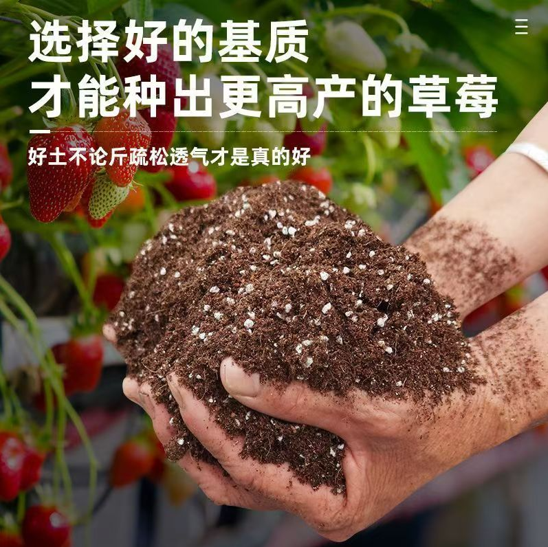 新款疏松透气君子兰草莓多肉蔬菜种菜养花育苗通用专用营养土家用