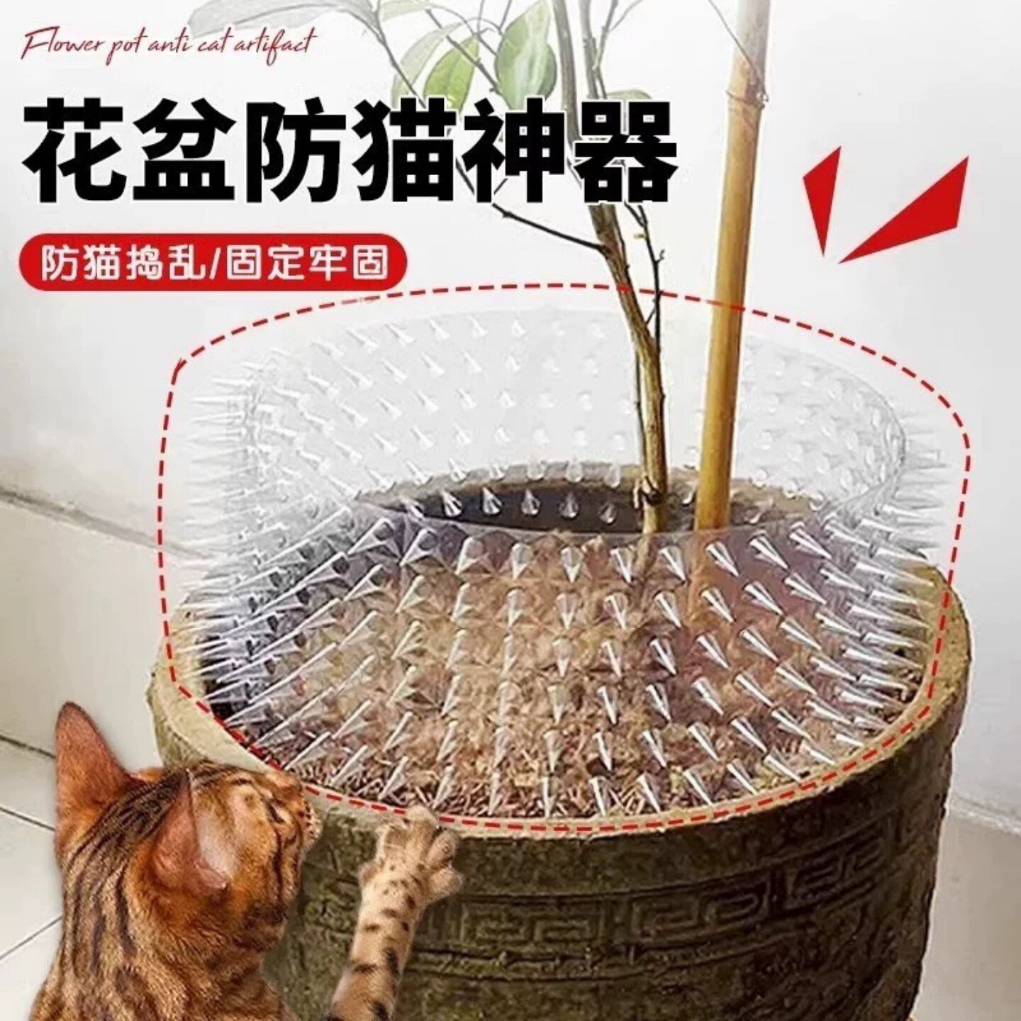 防猫花盆保护罩神器分隔板防猫抓捣乱阳台防小狗刨土花盆罩可裁剪