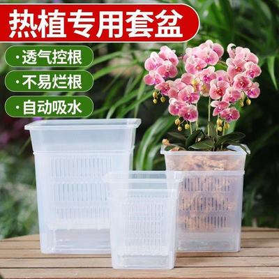 新款方形控根培篮水培定植篮透气透光观根盆防龟咬乌龟水草泥盆栽