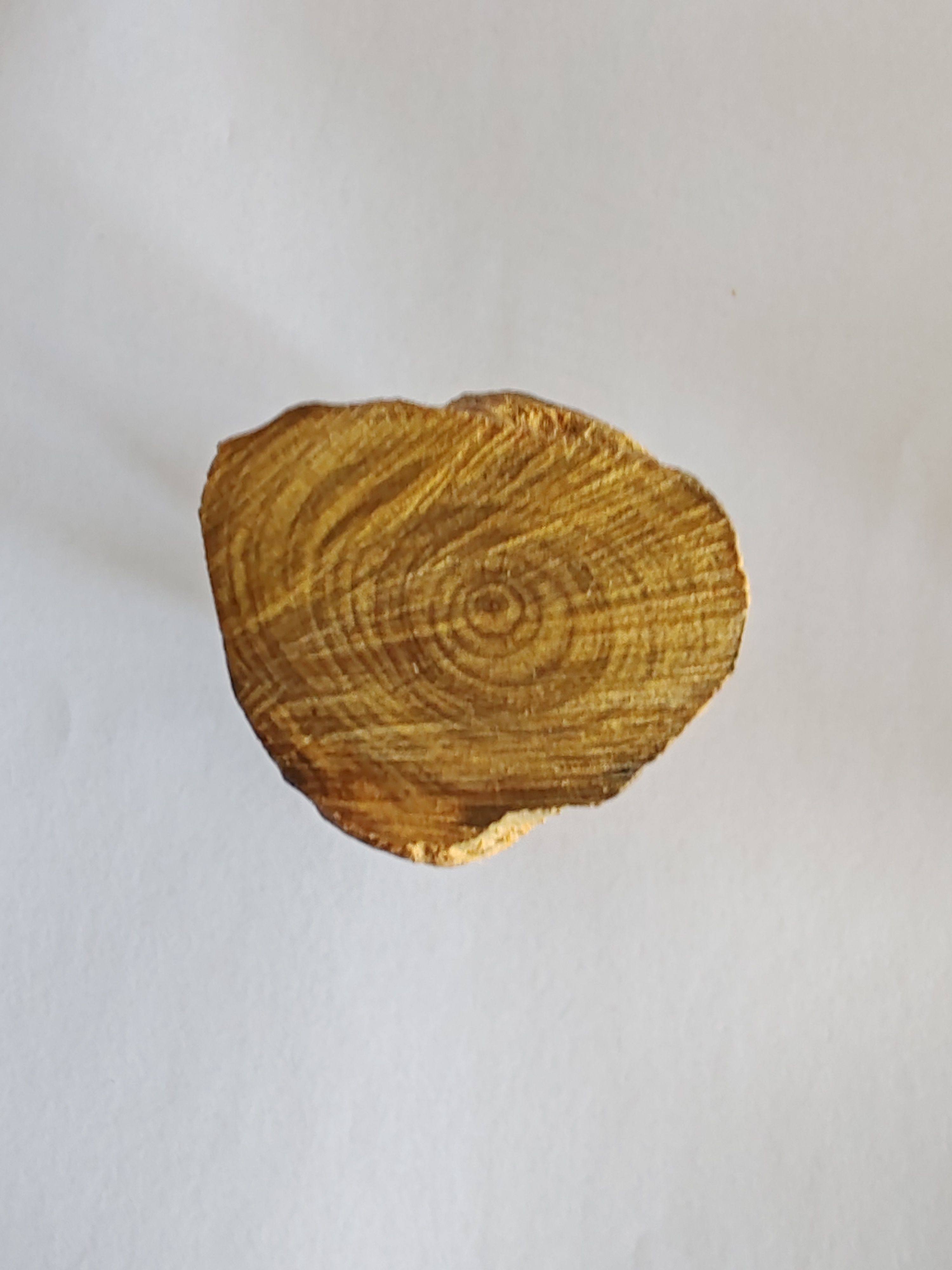 台湾肖楠样品把件香味特殊广西土沉香长度十公分左右直径约三公分