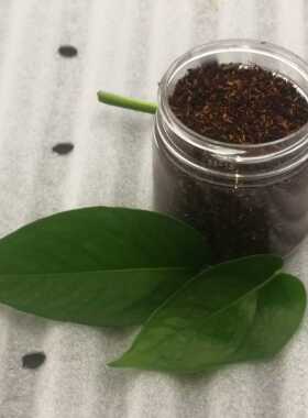 云南村长降真香五十克熏香粉温度八十到一百二度价格实惠全国包邮