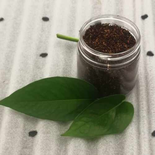 村长降真香香薰粉全国包邮