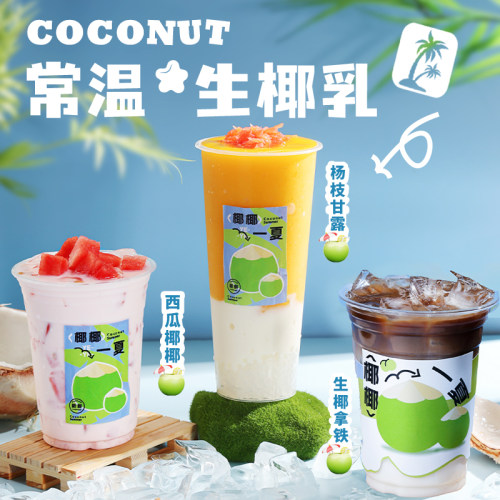 乐椰生椰乳1L椰奶咖啡奶茶店专用