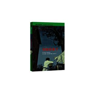 危险的盒子讲述了一个12岁的小男孩儿祖米和一个神秘的盒子的故事。男孩儿是被放在一个小笼子里出现在爷爷奶奶的家门口，从那以后