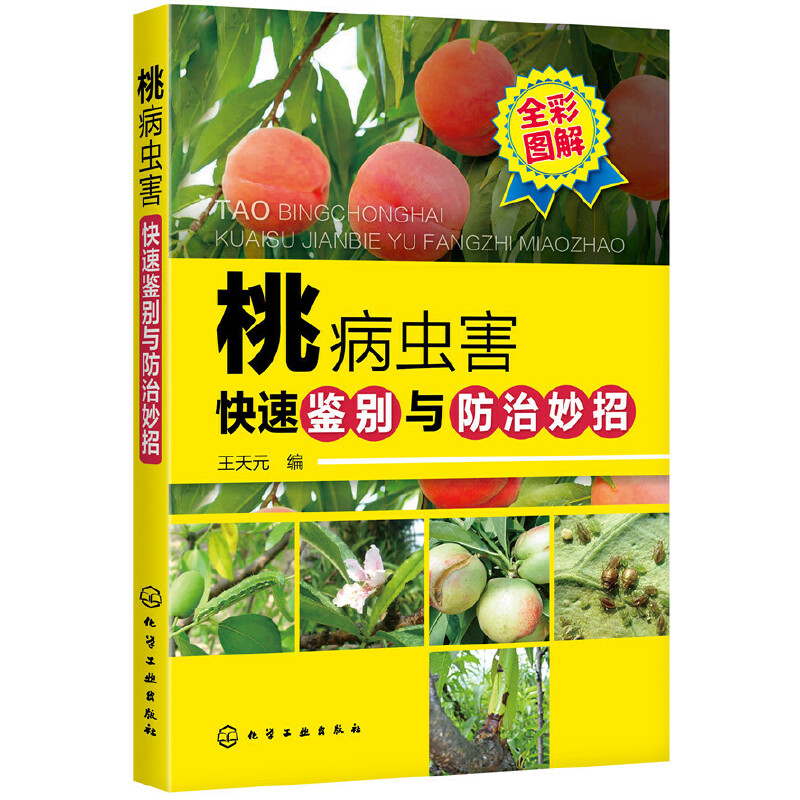 桃病虫害快速鉴别与防治妙招桃高效栽培关键技术桃病虫害诊断与防治桃树种植栽培技术大全教程书籍整形修剪花果管理果树栽培