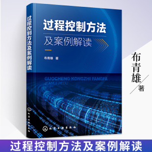 过程控制方法及案例解读 布青雄著 过程控制方法书籍 过程控制框架 过程控制点控制与评价 过程结果评价 生产领域和工程领域参