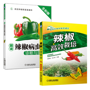 辣椒高效栽培+图说辣椒病虫害诊断与防治全2册栽培技术知识书籍辣椒种植技术病虫害园艺栽培技术参考学习手册关键技术养殖系列指南