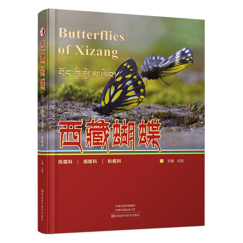 【精装彩图】西藏蝴蝶（上）凤蝶科绢蝶科粉蝶科 达娃 著 西藏自治区蝴蝶分类研究书籍详细描述 特征分布寄主 成虫标本照片生境