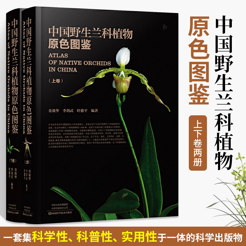 精装 中国野生兰科植物原色图鉴 上下卷 金效华花图鉴基础知识 种类分类园艺栽培 兰科植物花叶特征识别大全 自然科学科普百科