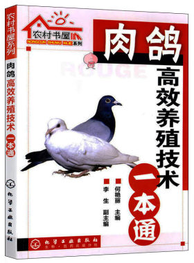 农村书屋系列肉鸽高效养殖技术一本通何艳丽著养鸽子书鸽子养殖技术书籍大全科学饲养手册鸽病鉴别诊断图谱喂养饲料配方教程养殖场