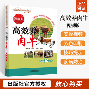 高效养肉牛 视频版 魏刚才 李伟 赵倩 高效养殖致富直通车 肉牛饲养管理肉牛的肥育肉牛的疾病控制牛场的经营管理书籍 机械工业