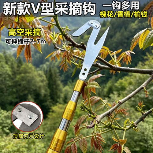 钩槐花神器伸缩杆采摘香椿神器