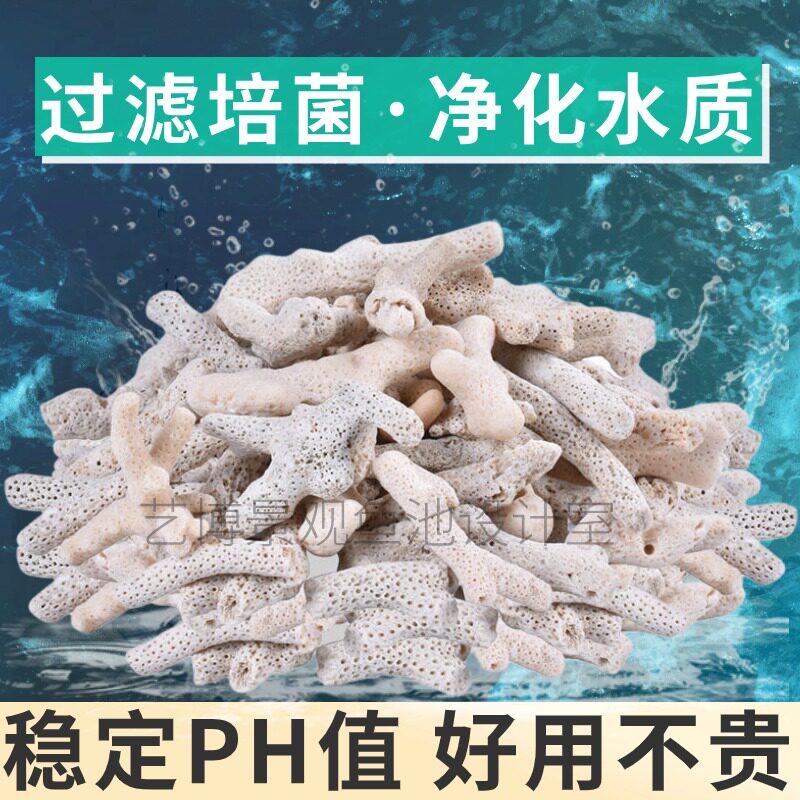 纯天然珊瑚骨鱼池过滤材料鱼缸滤材底砂底沙珊瑚石海鲜池养鱼净化图片