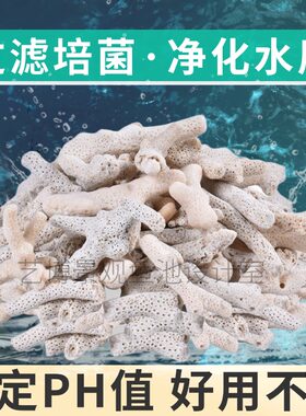 纯天然珊瑚骨鱼池过滤材料鱼缸滤材底砂底沙珊瑚石海鲜池养鱼净化