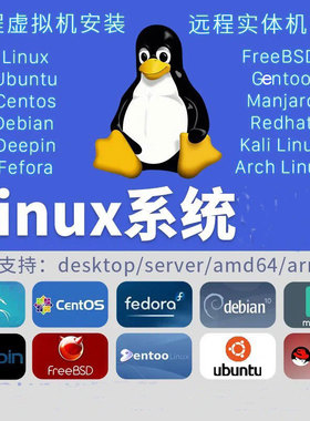 远程虚拟机安装linux/ubuntu/centos/deepin/mac/arch双系统安装