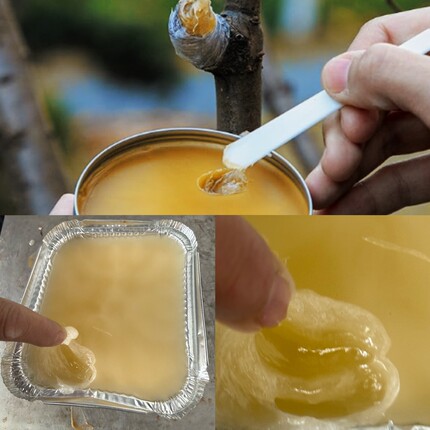 果树嫁接专用蜡果树苗木接穗蜡密封愈合蜡防失水防感染嫁接愈合蜡