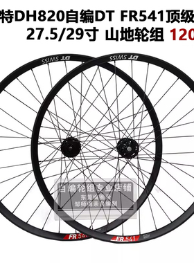 DT FR541车圈法斯特DH820花鼓 高端 山地轮组 自编轮组  120响