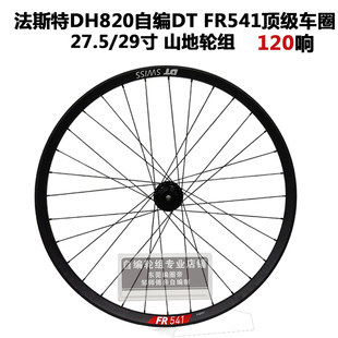 DT FR541车圈法斯特DH820 120响花鼓冠军辐条山地单后轮自编轮组