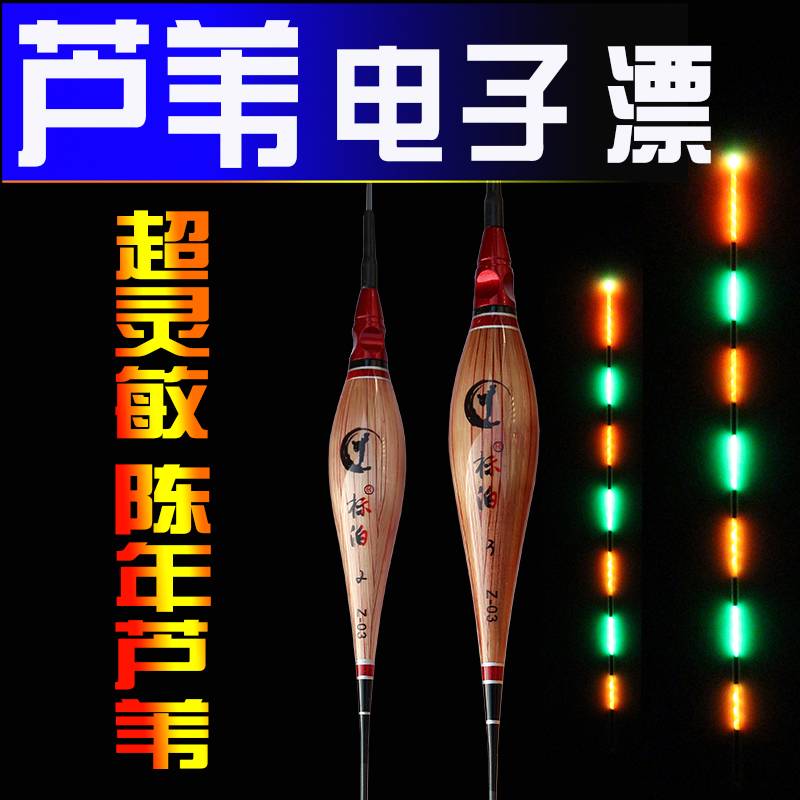 标泊手工芦苇夜光漂夜钓轻口大物
