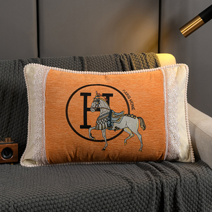 北欧式沙发靠垫长方形抱枕套客厅刺绣抱枕卧室床头靠背长条枕新款