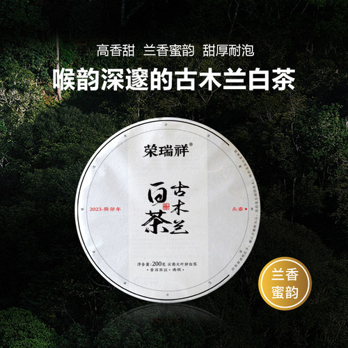 云南大叶种白茶饼古树