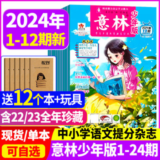 意林少年版杂志2024年新1-12期/2023年/2022年1-12月全年/半年订阅/合订本15周年小学生初中作文素材小国学儿童文学文摘杂志非过刊