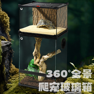 爬宠玻璃缸睫角守宫饲养箱鬃狮蜥蜴蛇角蛙树蛙蜘蛛爬虫生态雨林缸