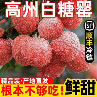 广东茂名高州白糖罂荔枝果园现摘当季新鲜孕妇水果整箱顺丰冷运