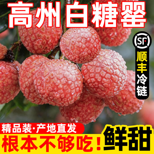 广东茂名高州白糖罂荔枝果园现摘当季新鲜孕妇水果整箱顺丰冷运
