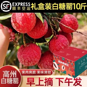 大学生创业高州老树白糖罂励志