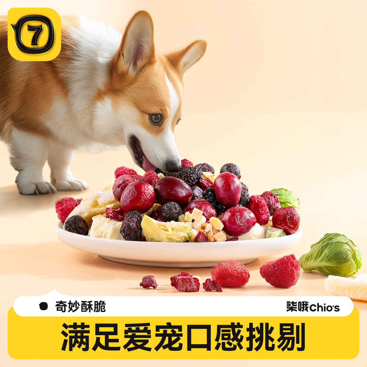 狗狗蔬菜冻干水果孢子甘蓝狗粮拌饭无添加宠物零食幼犬小型犬辅食