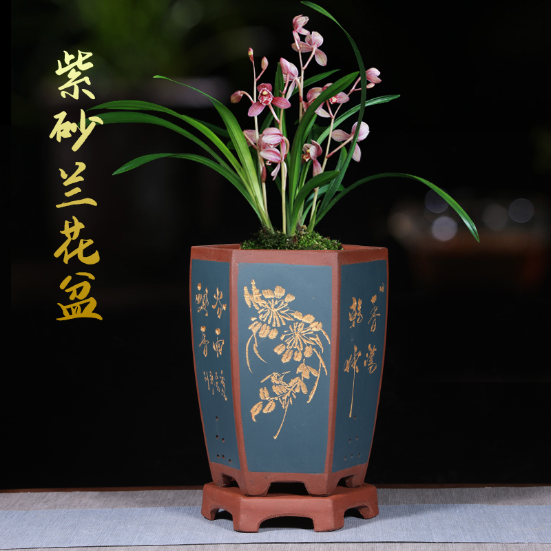 宜兴紫砂兰花盆六方形高盆蕙兰春兰专用精品兰草花盆清仓带底座