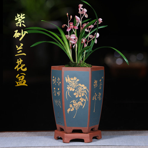 宜兴紫砂兰花盆六方形蕙兰春兰