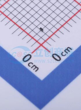 PESD3V3Z1BSF DSF0603-2 静电和浪涌保护(TVS/ESD)  3.3V 9.5A