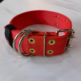 宠物脖圈狗项圈比特杂斗土狗金毛拉布拉多全犬通用