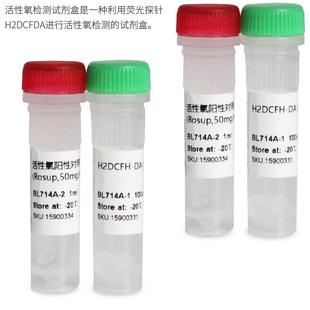 BL714A ROS活性氧检测试剂盒 1000T 现货 BL714B 免邮 含票