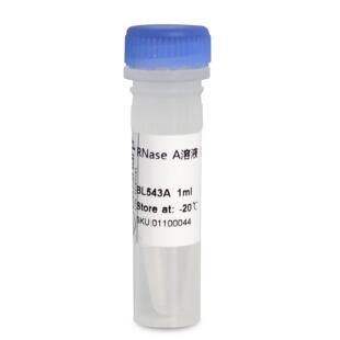 核糖核酸酶A 科研试剂 BL543A A溶液 RNase 含票 免邮 10mg