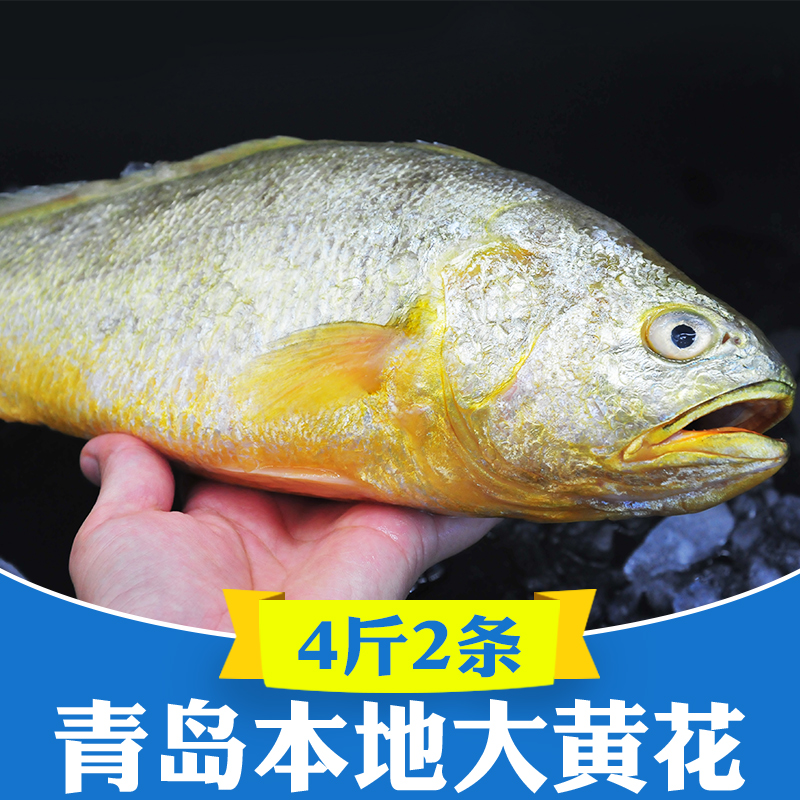 4斤2条青岛新鲜冷冻大黄花鱼