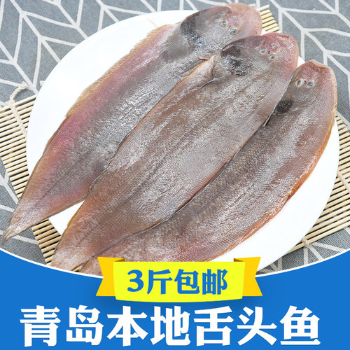 青岛特产海鲜海鱼新鲜冷冻3斤海捕舌头鱼踏板鱼带皮龙利鱼牛舌鱼
