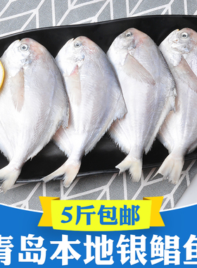 5斤 青岛海鲜银鲳鱼新鲜冷冻海鱼白鲳鱼扁鱼鲳鳊鱼平鱼镜鱼鲳鱼大